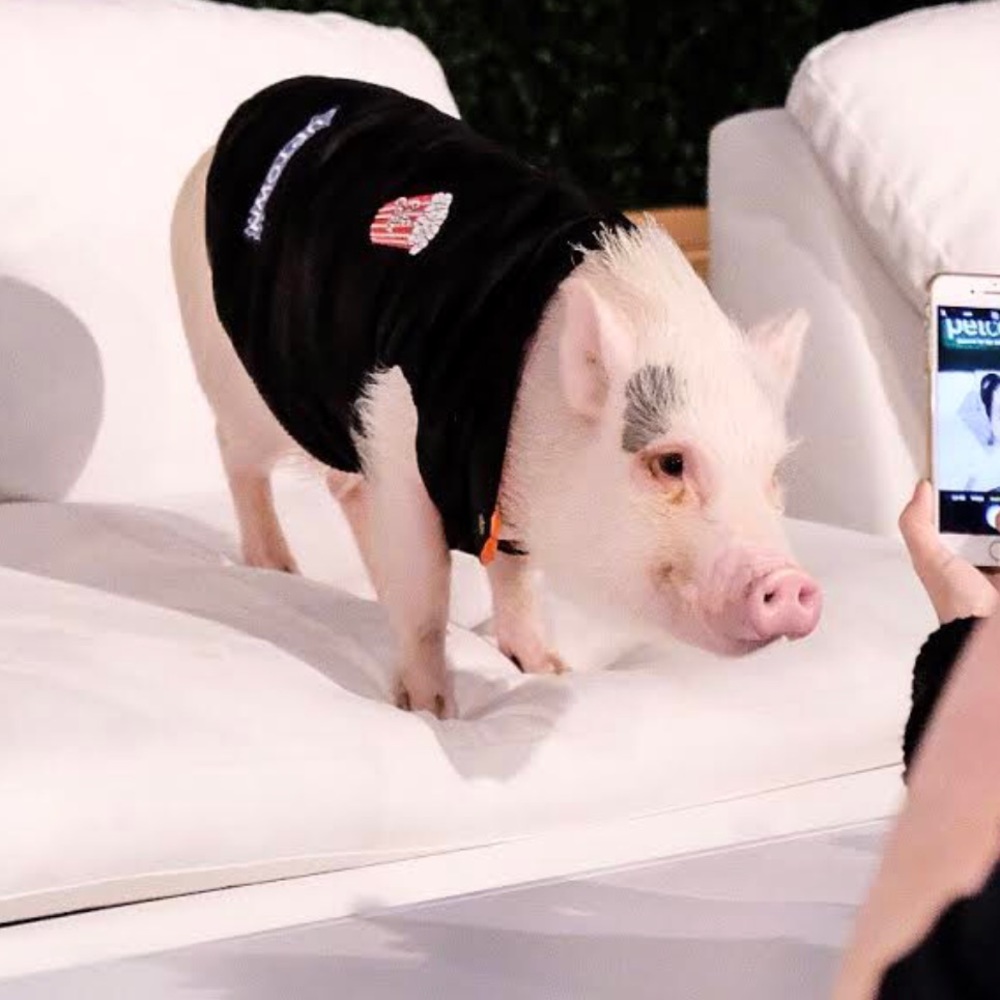 FuzzYard “East Bay Funk” Bomber jacket size 1